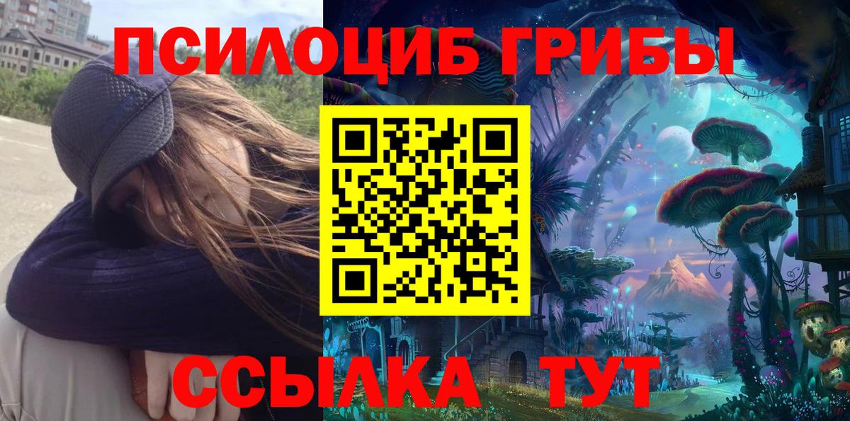 Псилоцибиновые грибы мицелий  Псилоцибиновые грибы мицелий  Вход с VPN  Артём 